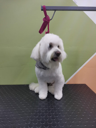 V&V Centro Integral Veterinario