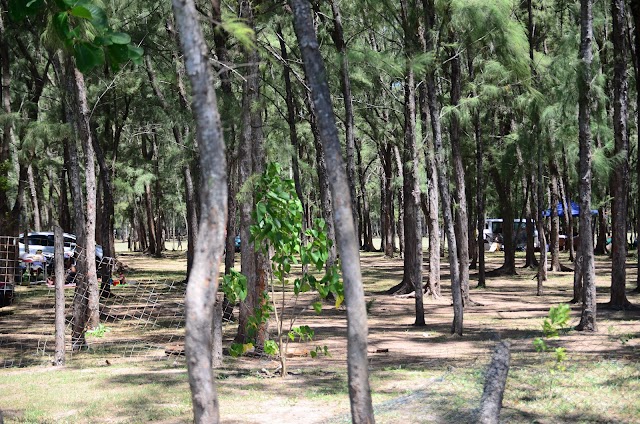 Mont Choisy Public Beach