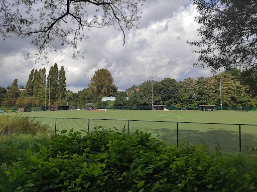 Stade Fallon - Visual