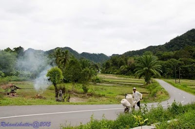 Photos of Saba Lemus Tukka
