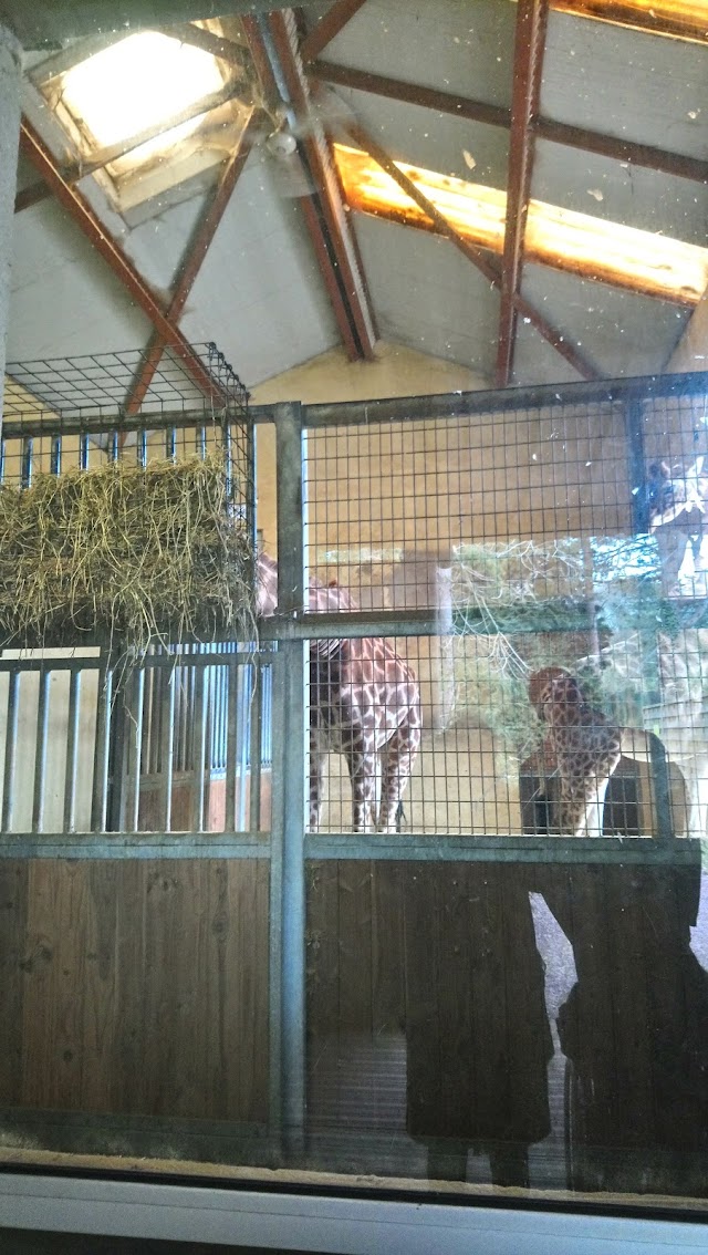 Parc Zoologique de Jurques