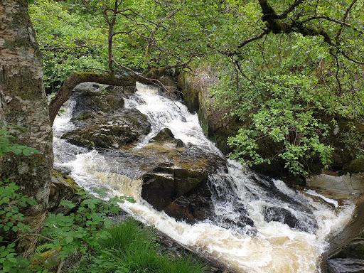 Gilfach Nature Reserve - Thumbnail