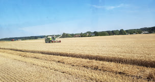 Photo n°2 de SCEA BALIN à Buire-sur-l'Ancre (Magasin de volailles)