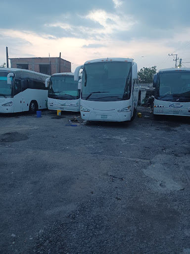Autobuses GFP - Thumbnail