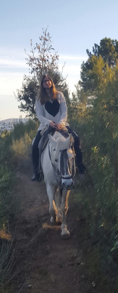 Photos of yeguada la isla