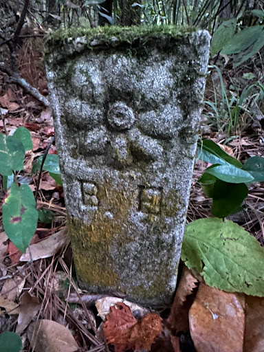 Eslava Family Cemetery - Thumbnail
