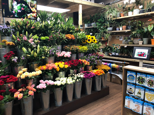 Van Arthur Florist - Harrow