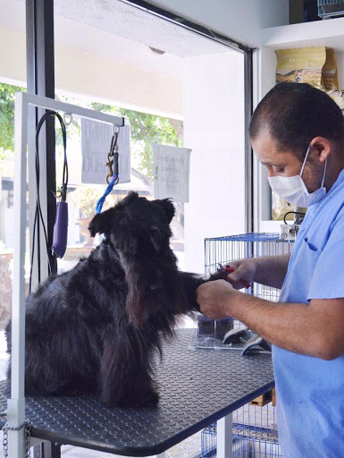 Clínica Veterinaria Dr Zoo