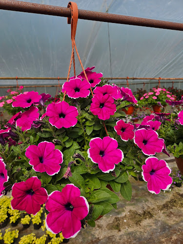 Niwnica 3, 48-321 Niwnica