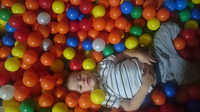 Photos of The Playbarn Johnstown