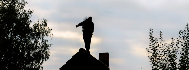 America Pro Chimney Cleaners