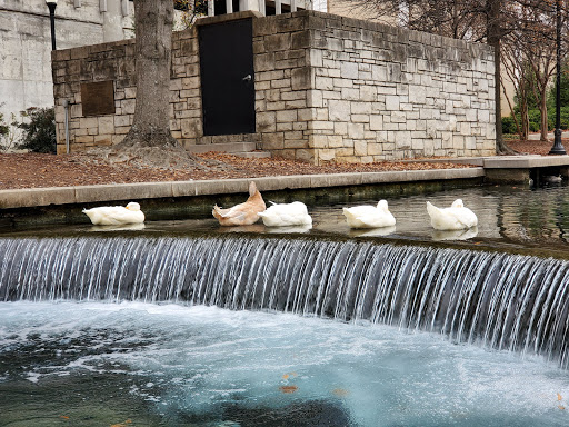 Big Spring International Park