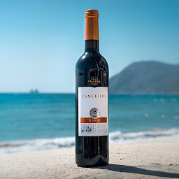 Photo n°18 de Joao’s - Grillade urbaine portugaise à La Seyne-sur-Mer (Restaurant portugais)