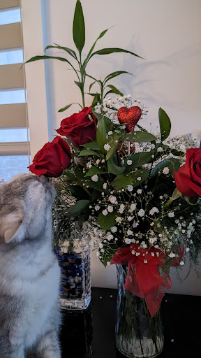 Aristocrate Fleuriste Inc