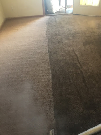 Actually Clean - Visual