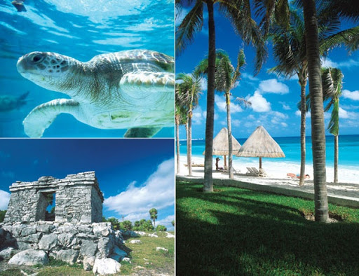 Magic Adventures Riviera Maya ( Aventura Magica Riviera Maya)