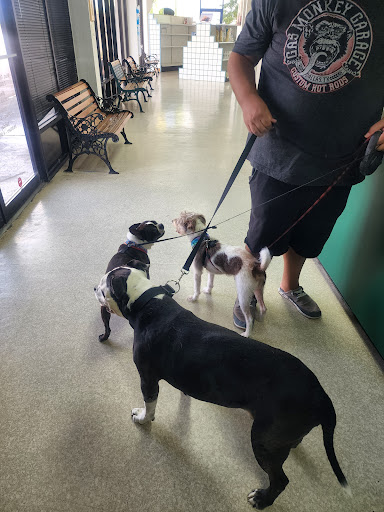 Pet Vet Animal Hospitals - Baybrook Mall - Thumbnail