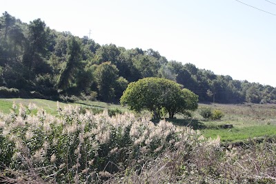 Valley of Koshovica