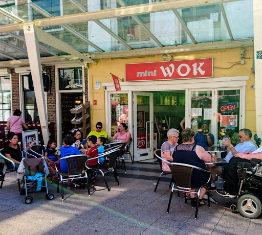 Mini Wok - Visual