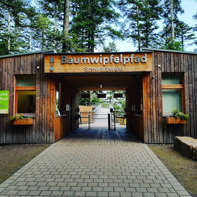 Baumwipfelpfad Schwarzwald