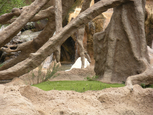 Tiger Island - Thumbnail