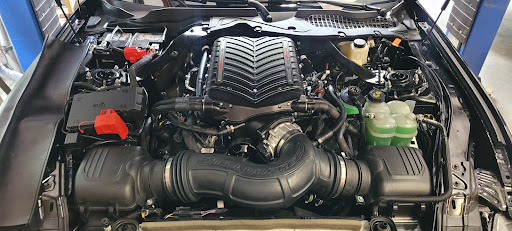 FAST Performance - Visual