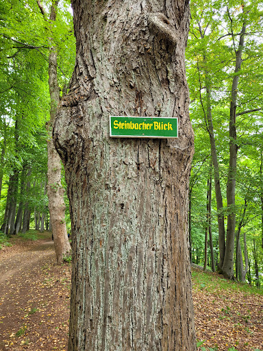Steinbacher Blick - Visual