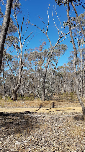 Wychitella Nature Conservation Reserve