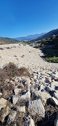 Photo n°15 de CAPI MAGHJA à Sarrola-Carcopino (Paysagiste)