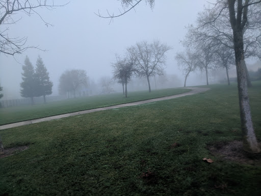 David A. Simpson Park Gallery - United States