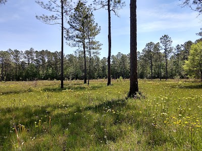 The Crosby Arboretum