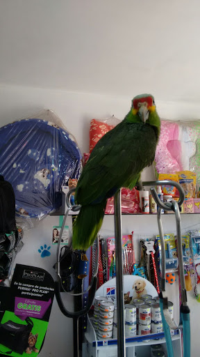 CENTRO VETERINARIO PARA ANIMALES EXOTICOS - Thumbnail