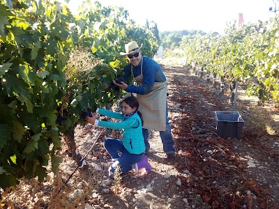 Photos of Bodegas y Vi&ntilde;edos Vi&ntilde;a Mayor