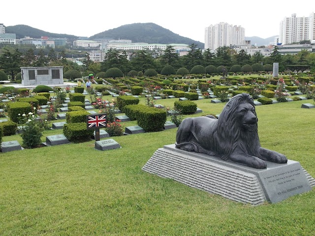 Place around image