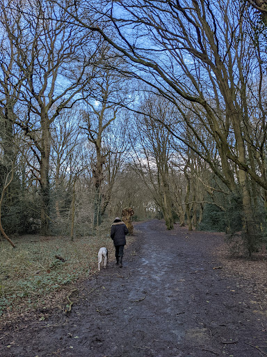 Hainault Forest Car park - Lambourne End - Thumbnail