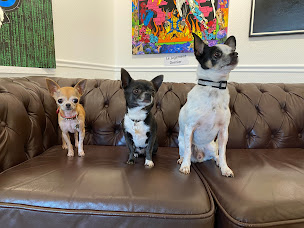 Photo n°12 de L'ENCADREUR à Les Sables-d'Olonne (Magasin d'encadrement)