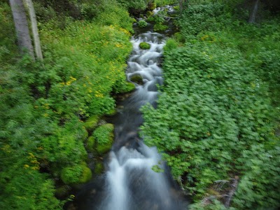 Cloverleaf Campground