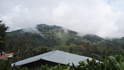 Photos of Parce's Bar