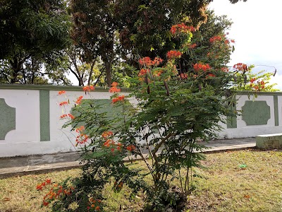 Photos of Parque a la Madre