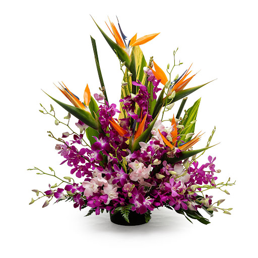 Between Flowers Design - Visual