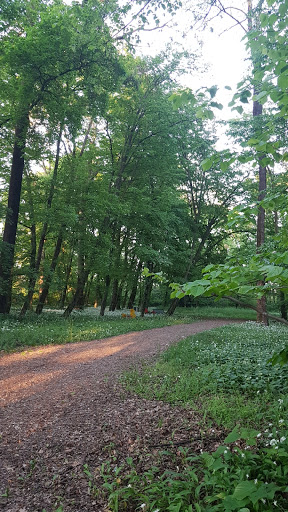 Parco comunale ''La Risaretta'' - Thumbnail