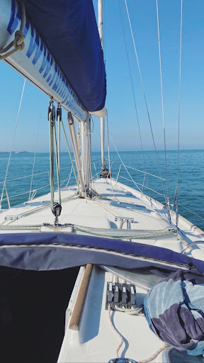 Funny Sailing