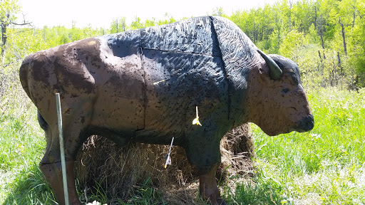 Red Deer Fish and Game Association Habitat Land - Thumbnail