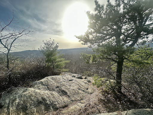 Ramapo Torne Gallery - United States
