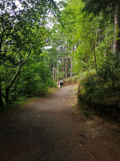 Ffynone Waterfall - Thumbnail