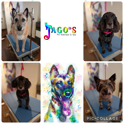 Jago's Pet Boutique and Spa
