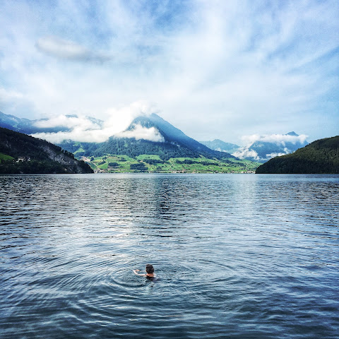 Hotel Rigi Vitznau by null