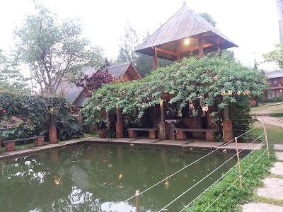 Photos of horenso green house