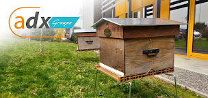 Photo n°8 de Allodiagnostic Anglet Diagnostic immobilier : DPE - Repérage Amiante avant Travaux - Audit énergétique à Anglet (Inspecteur immobilier)