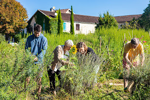 Photo n°3 de Mon jardin rêvé à Jarnac (Centre de formation)